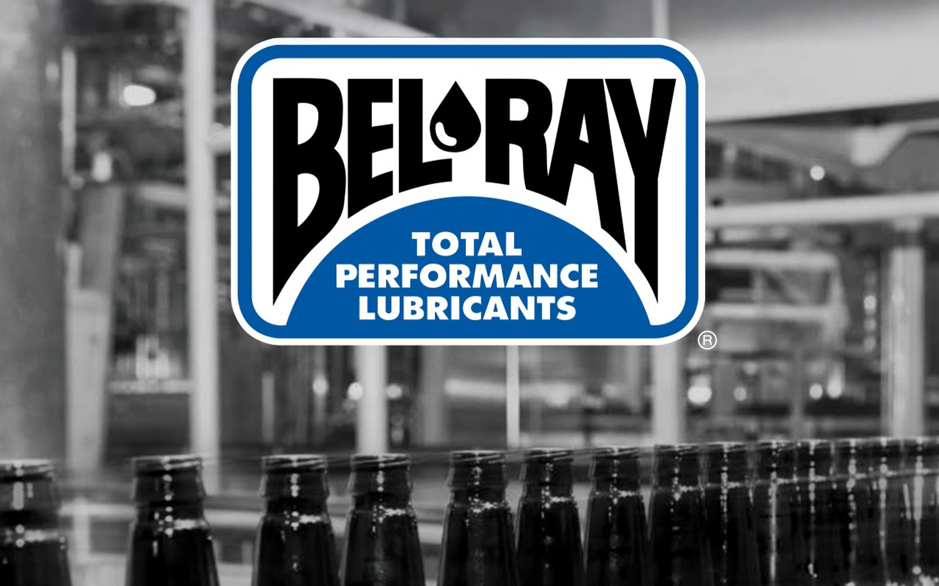 MS-belray